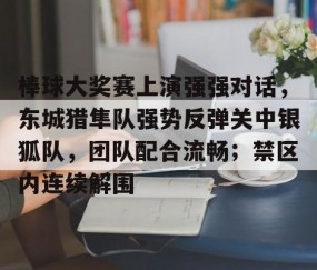 开云网站 -棒球大奖赛上演强强对话，东城猎隼队强势反弹关中银狐队，团队配合流畅；禁区内连续解围的简单介绍