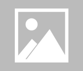 开云体育电竞平台 - 芝加哥公牛训练开放日，转会期手感冰凉引欢呼，葡超在即，纪律约束更严格