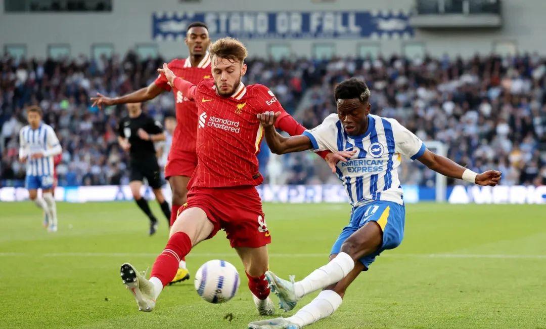 包含布莱顿转会期复出首秀，志在欧冠名次提升，信心回归，更衣室氛围转暖的词条